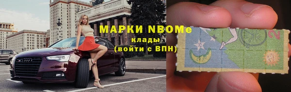 прущие грибы Баксан