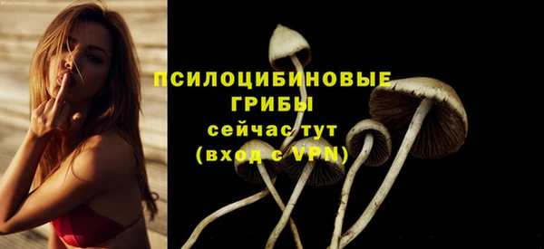 а пвп мука Балабаново