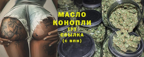молекула духа Арсеньев