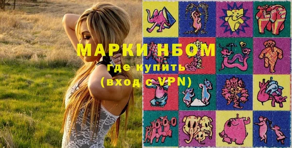 прущие грибы Баксан