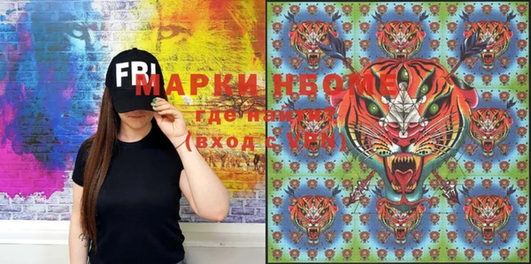 прущие грибы Баксан