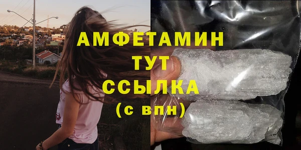 прущие грибы Баксан