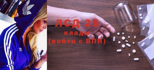 прущие грибы Баксан