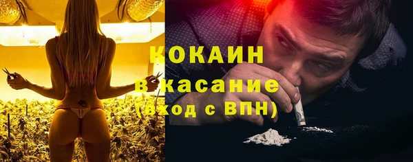 прущие грибы Баксан
