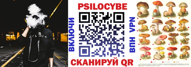 где можно купить наркотик  Гагарин  Галлюциногенные грибы прущие грибы 